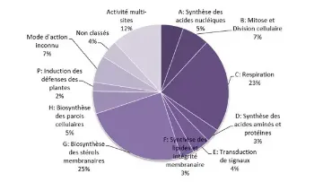 Qu'est-ce qu'un mode d'action ?
